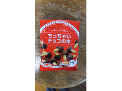 フクイ ちっちゃいチョコの木 商品写真