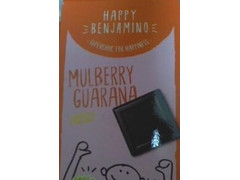 Bio Benjamin Happy Benjamino Mulberry Guarana Energy 商品写真