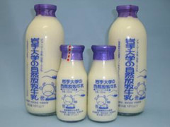 岩手大学のジャージー牛乳 瓶720ml・200mlx各2本 商品写真