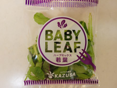 カズサ BABYLEAF