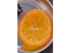 TSUTAYA SHARE LOUNGE ドライオレンジ 商品写真