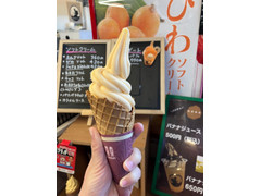 cafe金次郎 びわソフトクリーム