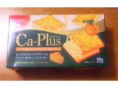 エヌエス カプラス チーズクリーム 商品写真