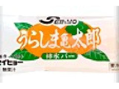 セイヒョー うらしま亀太郎 商品写真