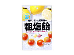 カンロ 搾りレモンと紀州梅の粗塩飴 商品写真