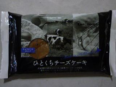 クレストジャパン ひとくちチーズケーキ チョコレートタイプ 商品写真