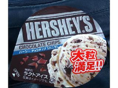 HERSHEY’S HERSHEY’S チョコチップ バニラ 商品写真