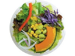 ファミリーマート 彩りfamimaDELI 12品目が摂れる1／2日分の野菜サラダ
