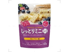 しっとりミニ ブルーベリー 商品写真