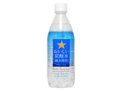 おいしい炭酸水 ペット500ml