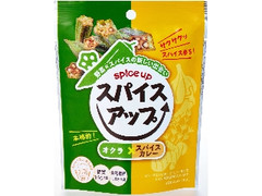 スパイスアップ オクラスパイスカレー 袋11g