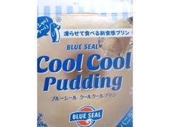 沖縄物産企業連合 ブルーシール クールクールプリン バニラミルク風味 商品写真