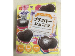 共立食品 手作りセット プチガトーショコラ 商品写真