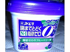 みどり N－1 腸まで届く脂肪ゼロヨーグルト ブルーベリー味 商品写真