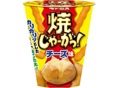 ギンビス 焼じゃーがっ！ チーズ味 商品写真