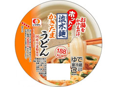 シマダヤ ホット！ 流水麺 かきたまうどん 商品写真