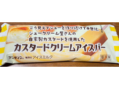 アンデイコ カスタードクリームアイスバー 商品写真