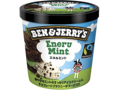 BEN＆JERRY’S ミニカップ エネルミント 商品写真