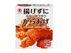 ヒガシマル 揚げずにからあげ鶏肉調味料オニオンコンソメ 商品写真