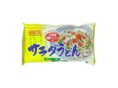 星野物産 サラダうどん 2人前 商品写真