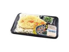 飛竜 大判天ぷらうどん 商品写真