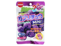 ガブリチュウ ミニ グレープ味 袋28g