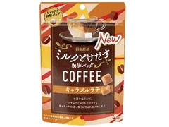 日東紅茶 ミルクとけだす珈琲バッグ キャラメルラテ