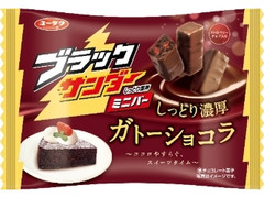 ブラックサンダーミニバー ガトーショコラ 袋161g