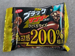 ブラックサンダー ひとくちサイズ 48g