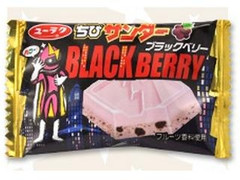 有楽製菓 ちびサンダー ブラックベリー 商品写真