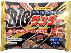 有楽製菓 ビッグサンダーミニ 袋185g