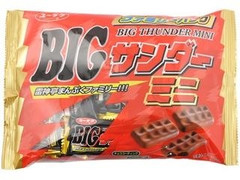 有楽製菓 ビッグサンダーミニ 袋170g