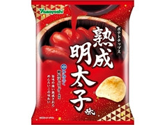 山芳製菓 ポテトチップス 熟成明太子味 商品写真