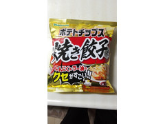 山芳製菓 ポテトチップス 焼き餃子味 商品写真