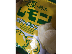山芳製菓 ポテトチップス 関東・栃木レモン 商品写真