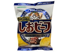 山芳製菓 しおビーフ スパイスソルト＆ビーフ味