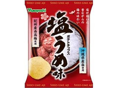 山芳製菓 ポテトチップス 塩うめ味 商品写真
