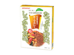 ヤマモリ 5種の野菜のキーマカレー 箱 商品写真