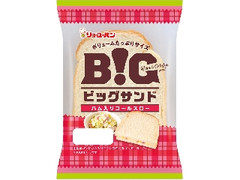  袋1個
