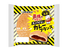 リョーユーパン スパイシィカレーフランス 商品写真