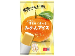 谷尾食糧 おうちで凍らせて食べるみかんアイス