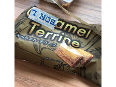 徳島産業 Caramel Terrine 商品写真