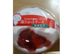 ごちそう果実 苺ショートケーキ