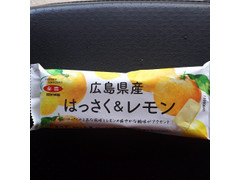 全農 広島県産はっさく＆レモンアイスバー 商品写真