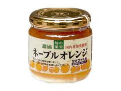 JA奈良農協 旬の果実 ネーブルオレンジ 商品写真