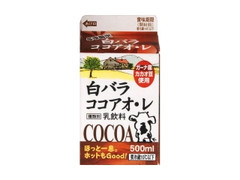  パック500ml