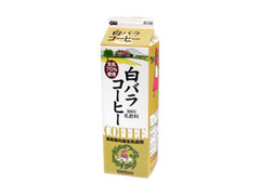 白バラ コーヒー パック1L