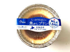 プレシア わたしのしふく しっかりたまごの焦がしプリン 商品写真