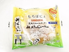 スリーエフ FSTYLE もちぽにょ SANGARIA みっくちゅじゅーちゅ 商品写真