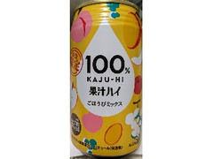 富永貿易 100％果汁ハイ ごほうびミックス